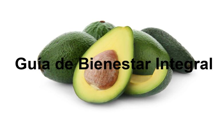 Guía de Bienestar Integral